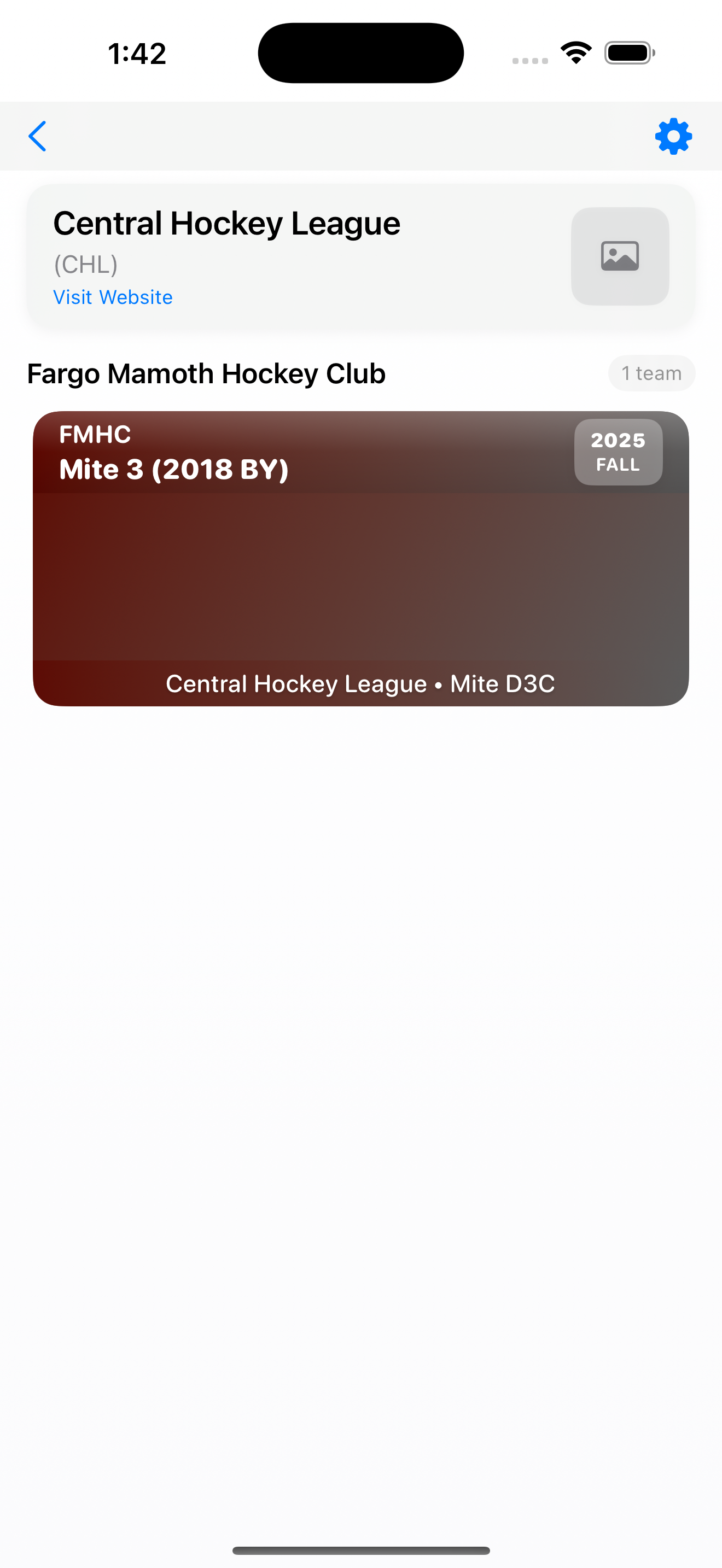 League and club organization interface